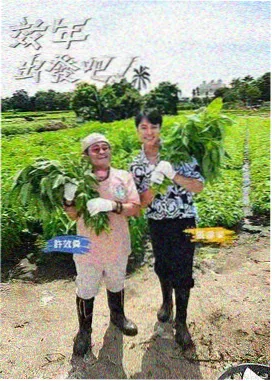 天堂影院综艺 极限挑战
